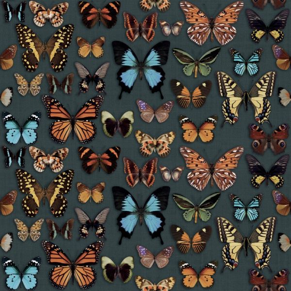 Abk Wide & Style D+ Papillon 60X120 - 60007652