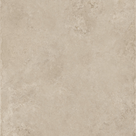 Caesar Histoire Beaune Matt Rt 30x60 - AHTN