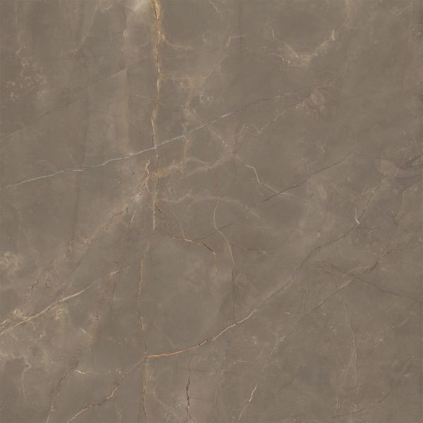 Feinsteinzeug Fliese Marmoroptik Braun Matt 120x120 - EAOD1508