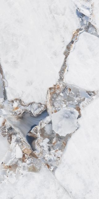 Feinsteinzeug Fliese Marmoroptik Weiß Matt 120x120 - EBRP751