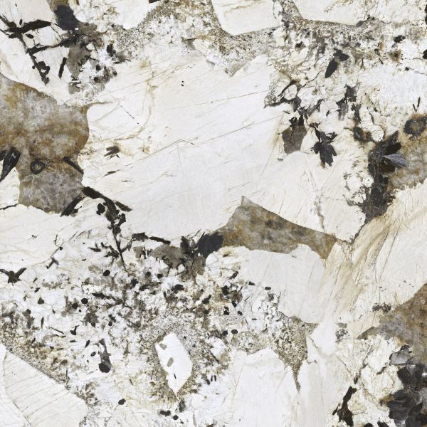 Feinsteinzeug Fliese Marmoroptik Patagonia Poliert 120x120 - EPAA908