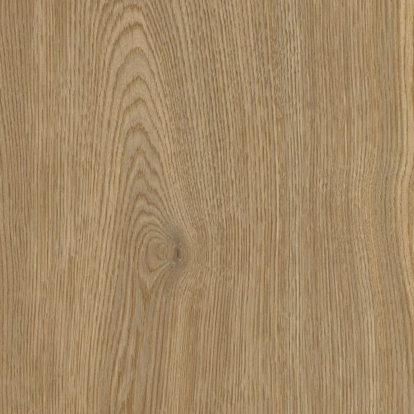 Moderne, elegante, dunkelbraune, rutschfeste Porzellanfliese in Holzoptik, 20 x 120 – EWBY1683