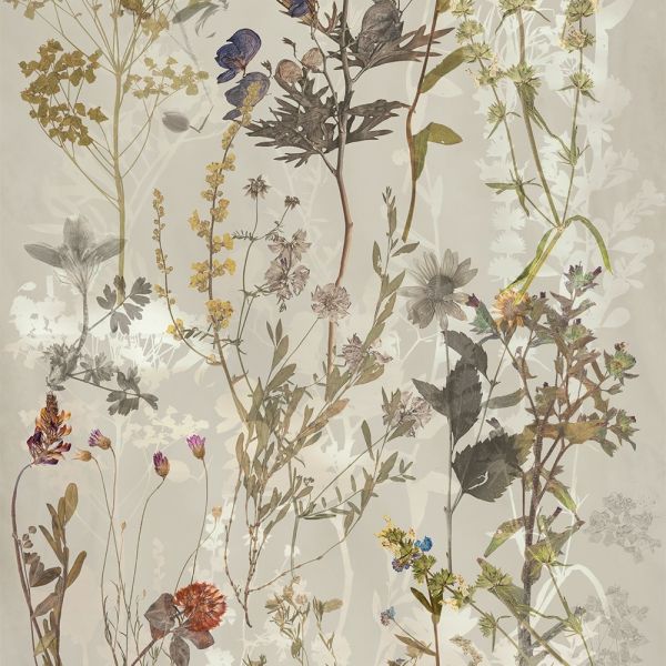 Dekorierte beige Wandfliese aus Feinsteinzeug 60X120 - EWTG1496