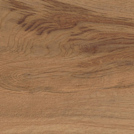 atlas_concorde_log_deep_oak_forest_1.jpg
