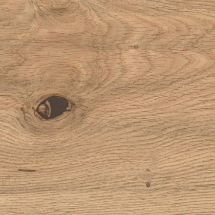 atlas_concorde_log_icon_oak_1.jpg