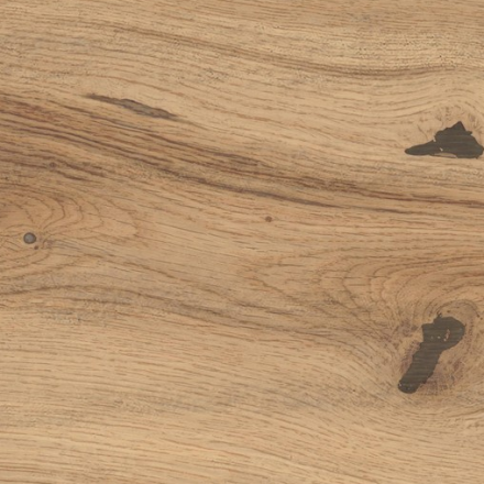 atlas_concorde_log_icon_oak_forest_1.jpg