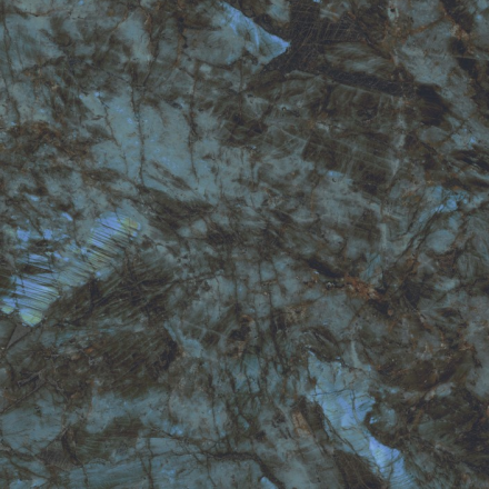 atlas_concorde_marvel_diva_baobab_1.jpg