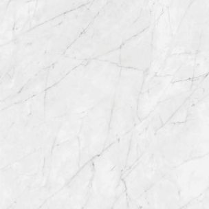 Feinsteinzeugfliese in Marmoroptik Carrara, poliert, 120x120 cm - CS25097