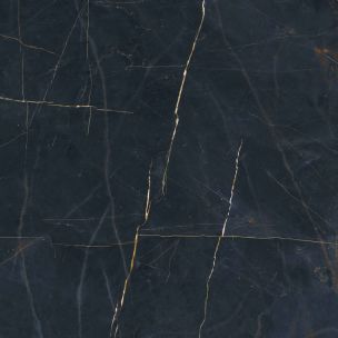 Premium Feinsteinzeugfliese in Marmoroptik, schwarz, poliert, 120x120 cm - CS25096