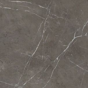 Abk Sensi 900 Stone Grey Ant. Rett 120X120 - PF60011871