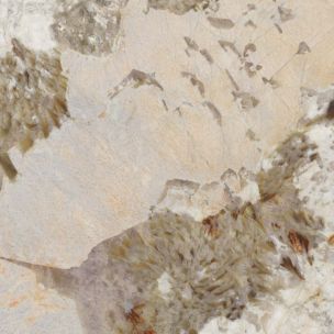 Feinsteinzeugfliese in Marmoroptik Patagonia, mit 3D-Äderung, poliert, 120x120 cm - CS25099