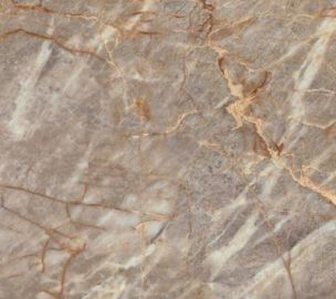 Atlas Concorde Marvel Epic Natural Roots Polished Ret 60x120 - HEIK