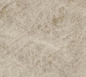 Atlas Concorde Marvel Epic Taj Mahal Noisette Ret 60x120 - HEAJ