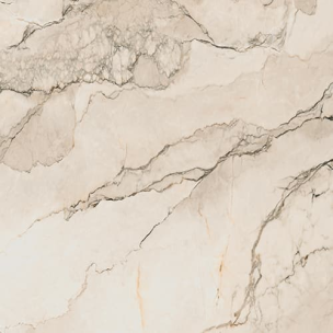 La Fabbrica Ava Bolgheri Stone Beige Nat Ret 60X60 - 0196022