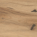 Atlas Concorde Log Icon Oak Forest Matt Rt 20x180 - AX5U