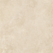 Caesar Histoire Artois Matt Rt 60x120 - AHS4