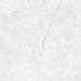 Polierte Porzellanfliese mit Carrara-Marmoreffekt 60x120 - Ecga118