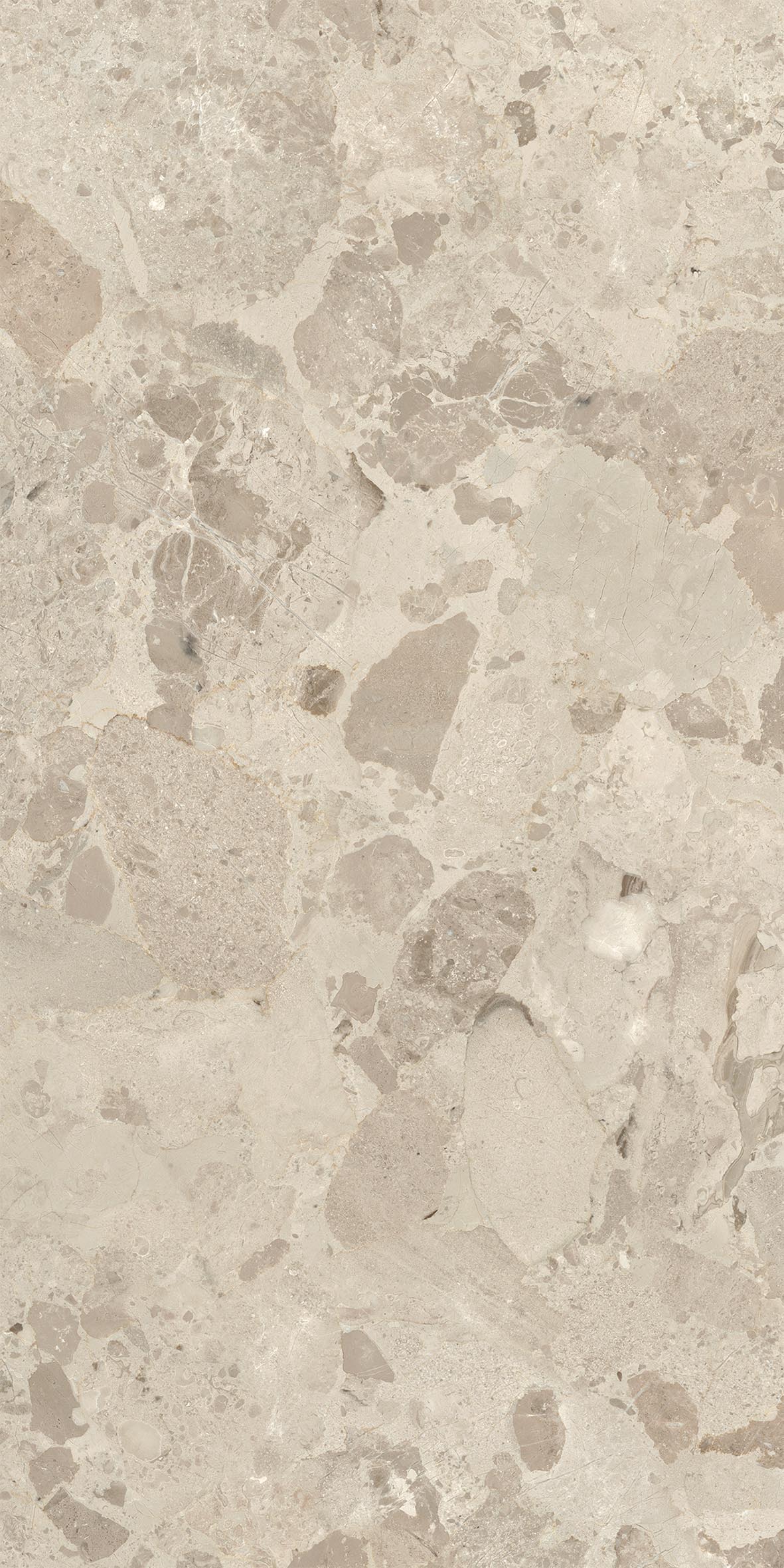 Modernes Feinsteinzeug für den Außenbereich, Steinoptik, Ceppo di Gré, 20 mm, Beige, 60 x 120 mm - EO7008