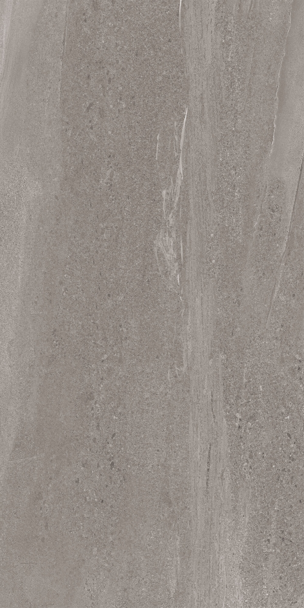 Raffinierte Feinsteinzeugfliese in Steinoptik, Grau, 20 mm, R11, 60 x 120 – Esaf1279