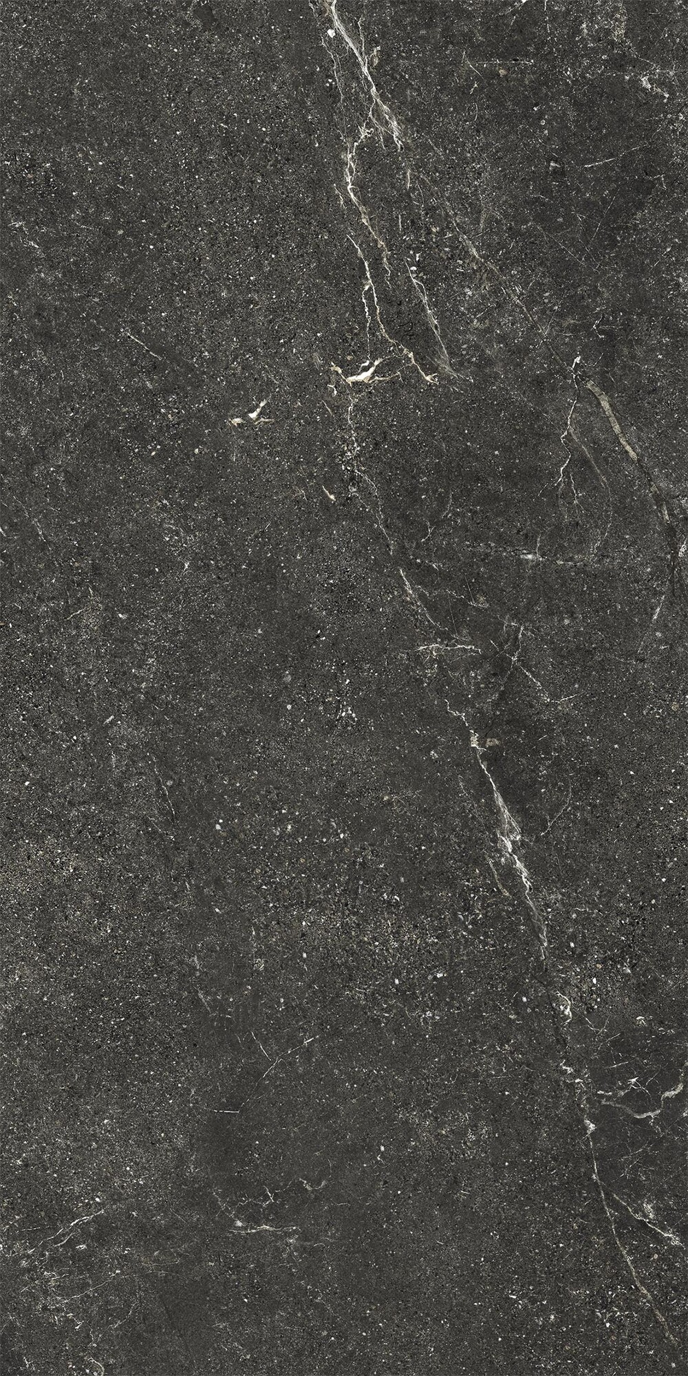 Schwarz geäderte Feinsteinzeugfliese in Steinoptik, 20 mm, R11, 60 x 120 – Ewbe1349