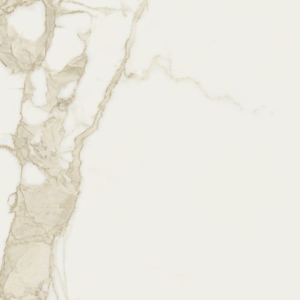 Saime Ceramiche Cave Forte Luc Rett 120X120 - T810275