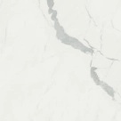 caesar_anima_statuario_venato_1.jpg thumbnail